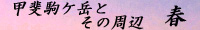 甲斐駒ケ岳とその周辺 春