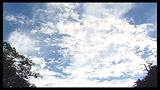 北沢にて 天空