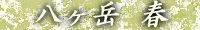 八ヶ岳 春