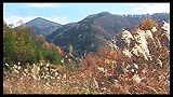 立場川林道より 編笠山